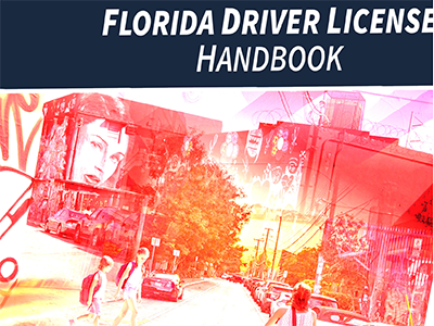 Florida Driver License Handbook | CollaborNation®